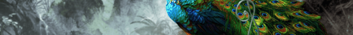new-5c-20newsle_38174884